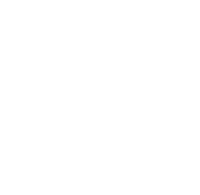 Giovanna Rocha